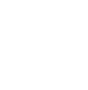 logo-icon-white